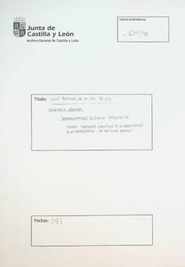Informe “Problemas específicos de la organización de los trabajadores: las Comisiones Obreras” [s.f.]